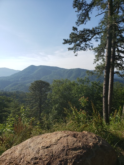 绿色的树在褐色的岩石山白天
